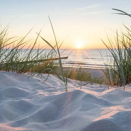 Apartment White Pearl 0.05